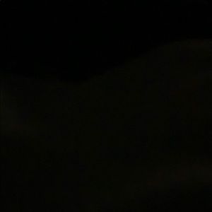 Meet your Posher, Bree